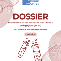 ADULTOS MEDIA QUIMICA