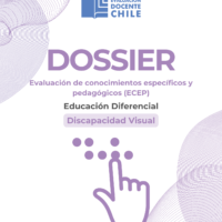 DISCAPACIDAD VISUAL(1)