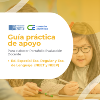Ed. Especial Esc. Regular y Esc. de Lenguaje (NEET y NEEP)
